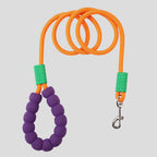 Dog Leash