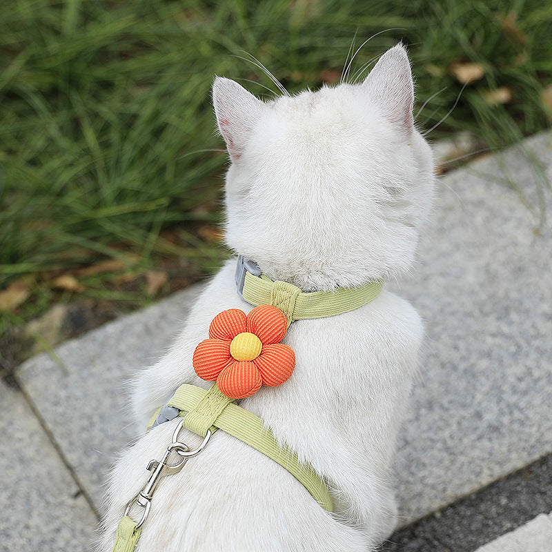 Flower Pet Collar & Leash Set