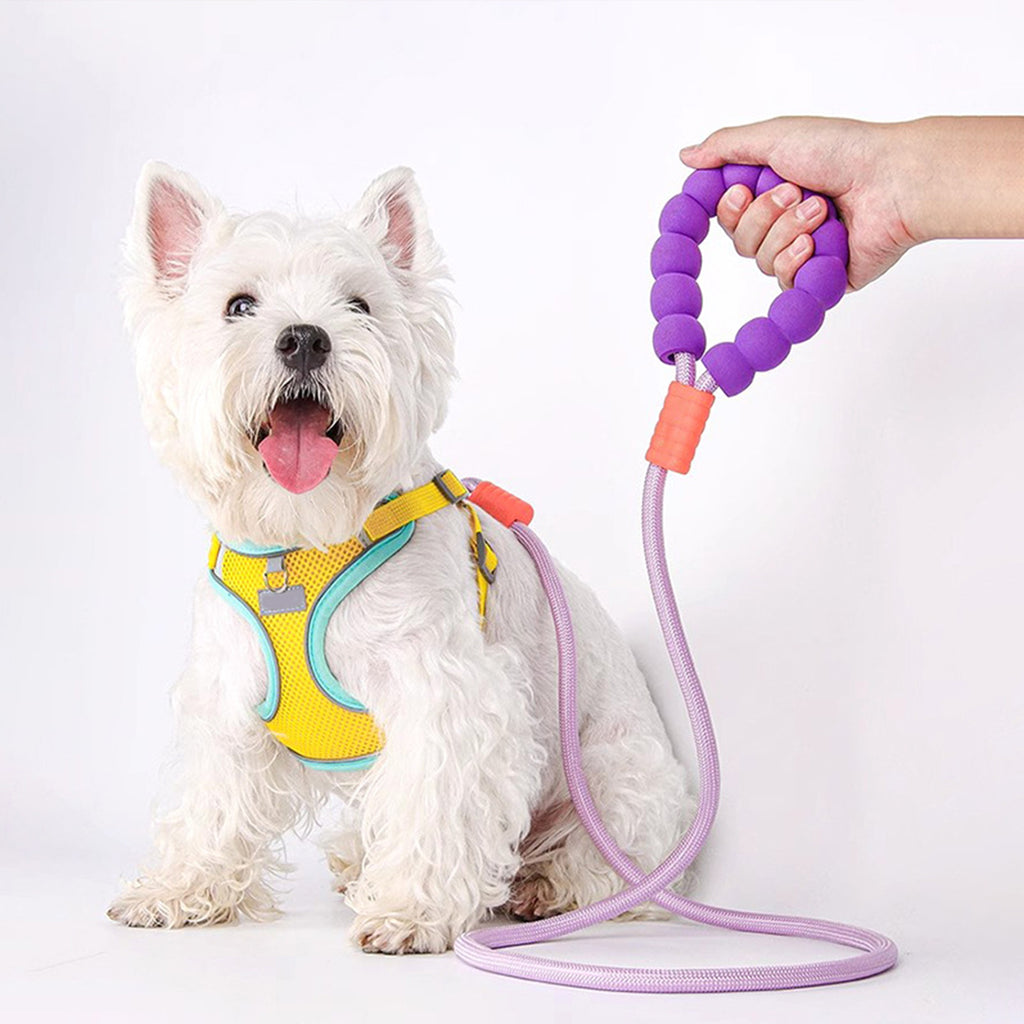 Dog Leash