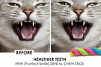 Dental Health