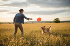 Person throwing frisbee to excited dog in field